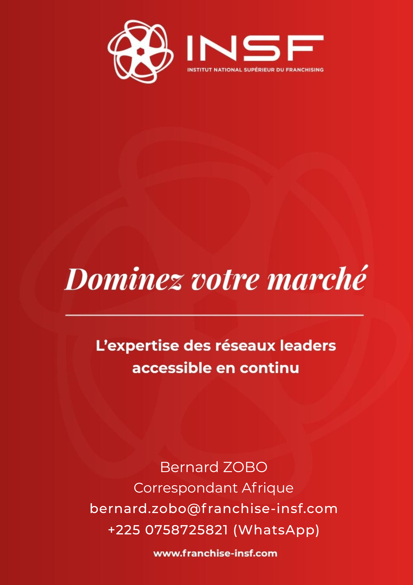 Devenez un Franchiseur Leader en Afrique : Maîtrisez les Secrets des Réseaux Mondiaux